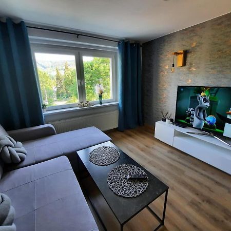 דוז'ניקי ז'דרוז' Orlicka Apartament מראה חיצוני תמונה