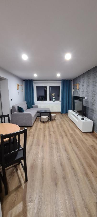 דוז'ניקי ז'דרוז' Orlicka Apartament מראה חיצוני תמונה