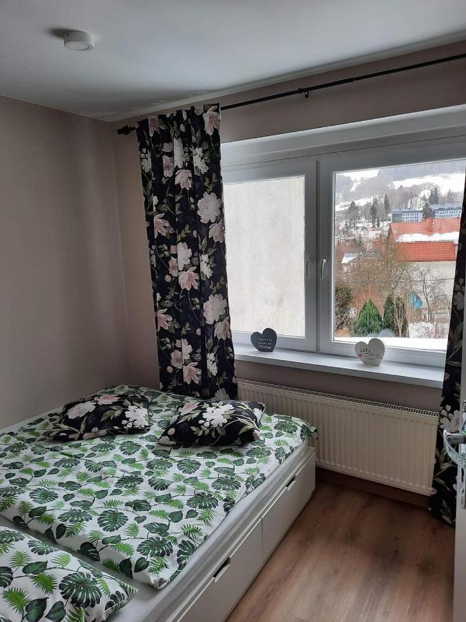 דוז'ניקי ז'דרוז' Orlicka Apartament מראה חיצוני תמונה