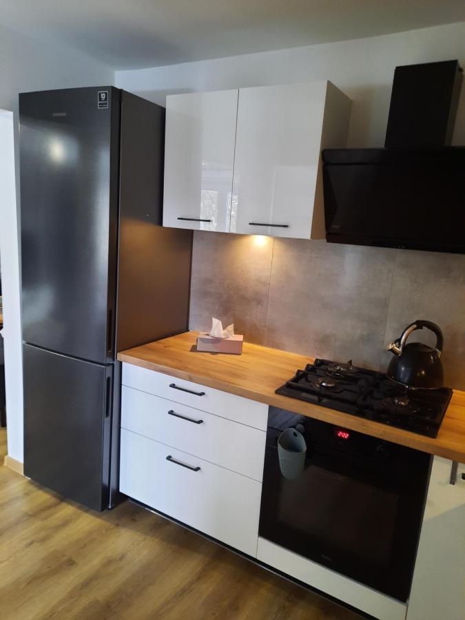 דוז'ניקי ז'דרוז' Orlicka Apartament מראה חיצוני תמונה