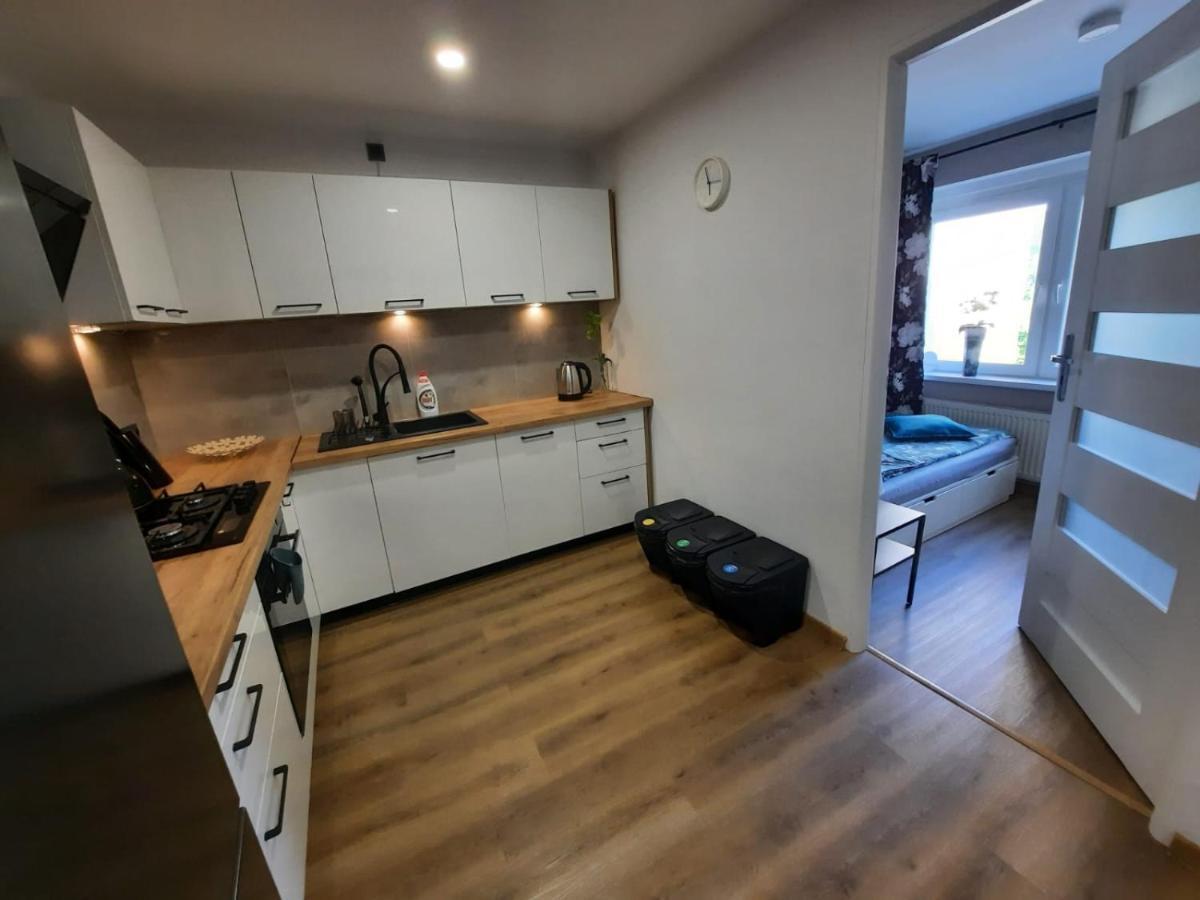 דוז'ניקי ז'דרוז' Orlicka Apartament מראה חיצוני תמונה